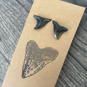 Shark Tooth Stud Earrings